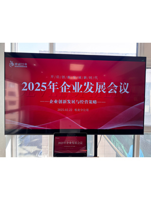 奔诚财务管理集团25年2月月度会议：2025企业发展会议